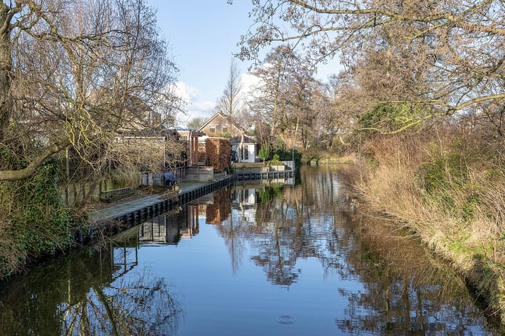 Foto 41 van Hondstong 7