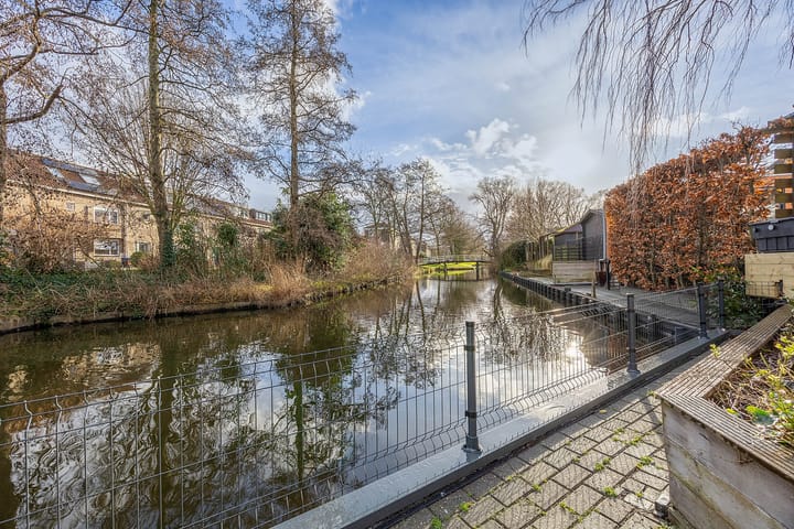 Foto 42 van Hondstong 7