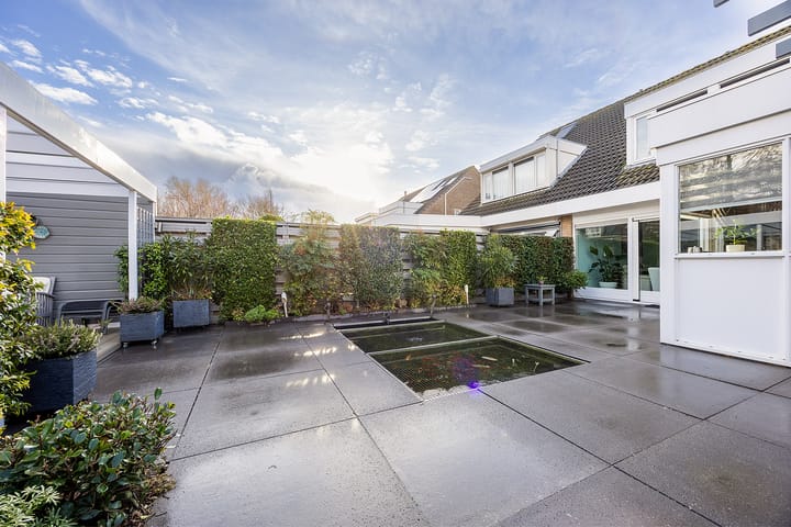 Foto 49 van Hondstong 7