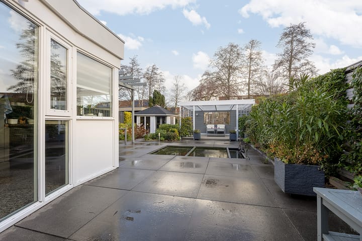 Foto 52 van Hondstong 7