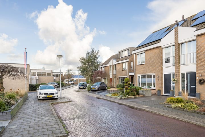 Foto 54 van Hondstong 7