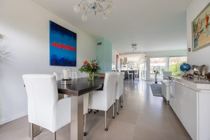 Foto 13 van Hondstong 7