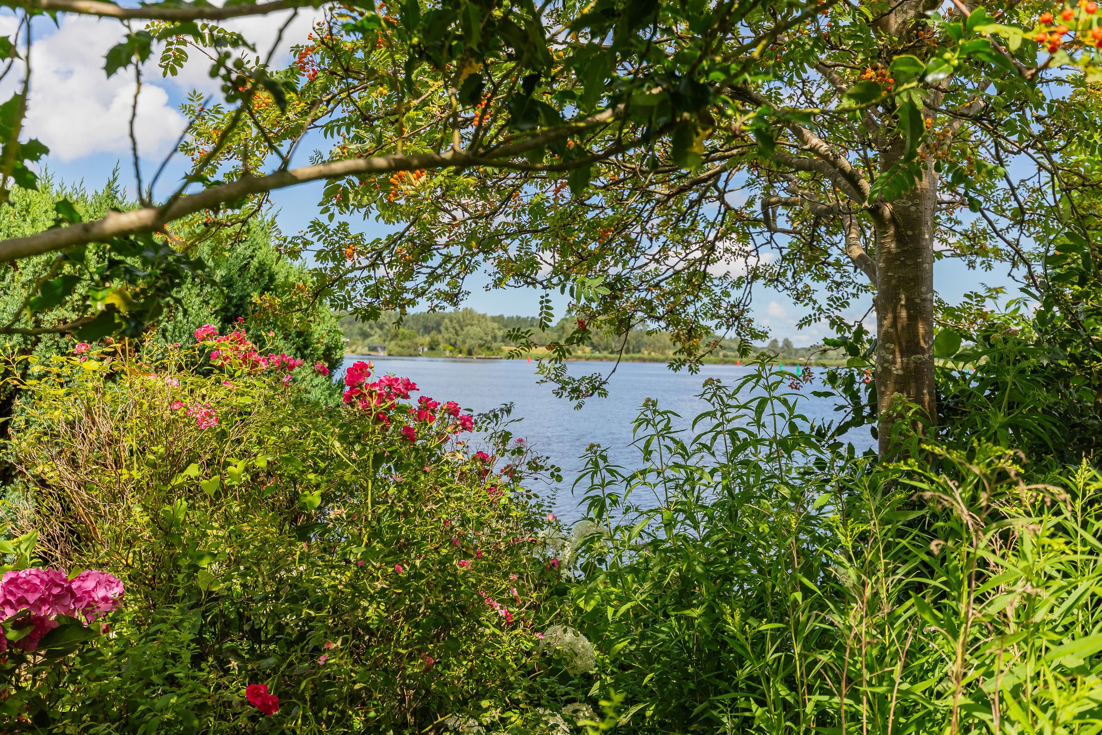 Foto 6 van Spaarndammerdijk 92