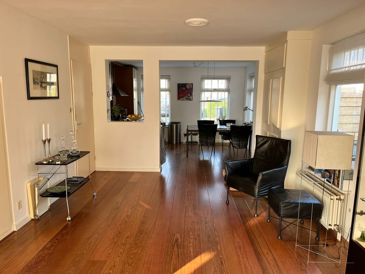 Photo 6 of Zilvermeeuw 27