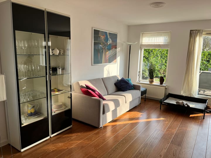 Photo 7 of Zilvermeeuw 27