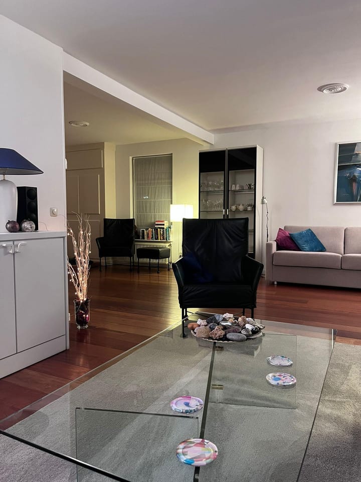 Photo 8 of Zilvermeeuw 27