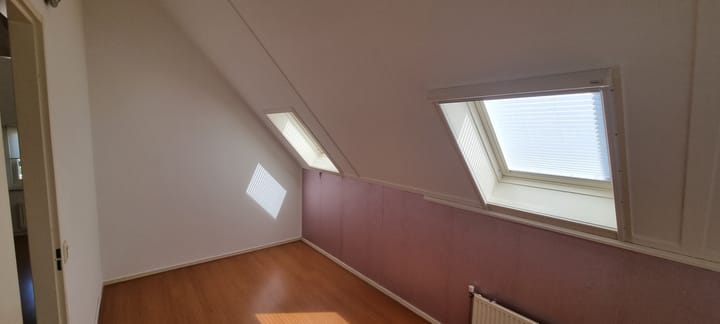 Photo 20 of Zilvermeeuw 27