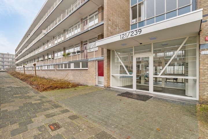 Foto 22 van Schalkeroord 183