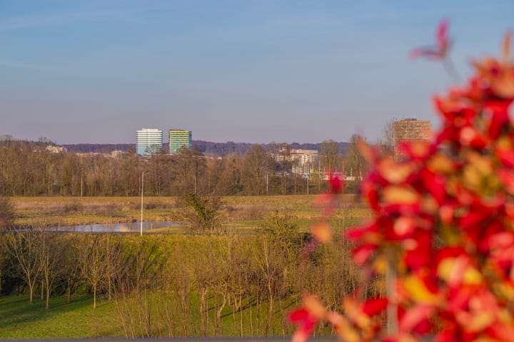 Foto 38 van Sonatestraat 24