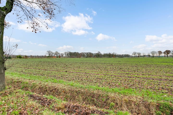 Foto 22 van Smeetjeshofstraat 30