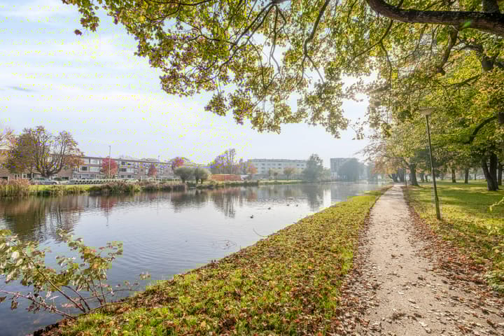 Foto 7 van Schapendreef 165