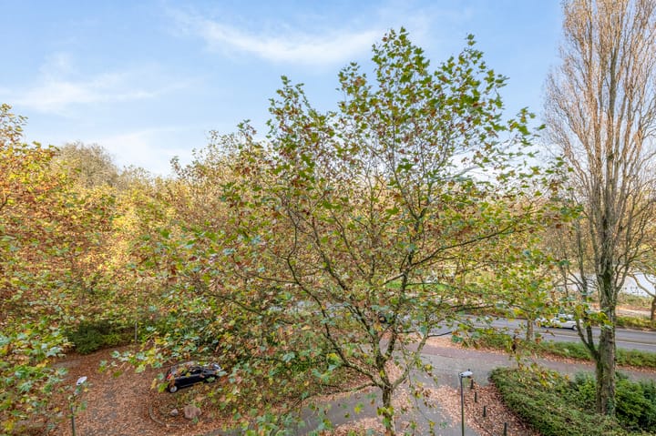 Foto 20 van Schapendreef 165