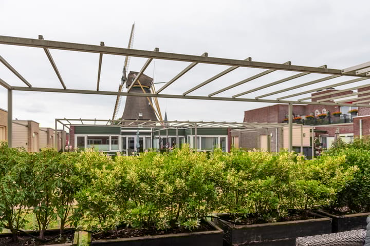 Foto 17 van Punterstraat 13