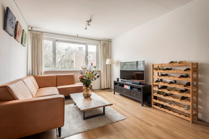 Foto 3 van Schierstins 133