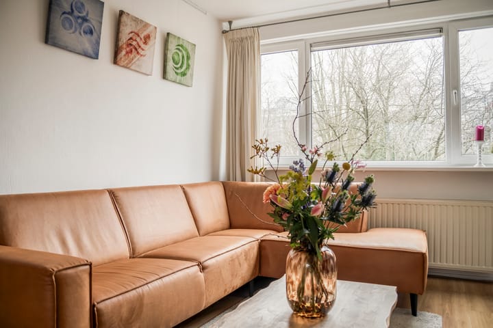 Foto 5 van Schierstins 133