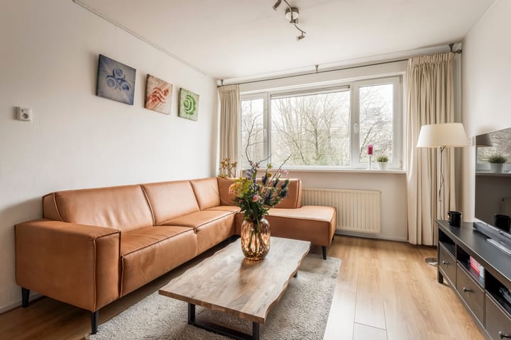 Foto 4 van Schierstins 133