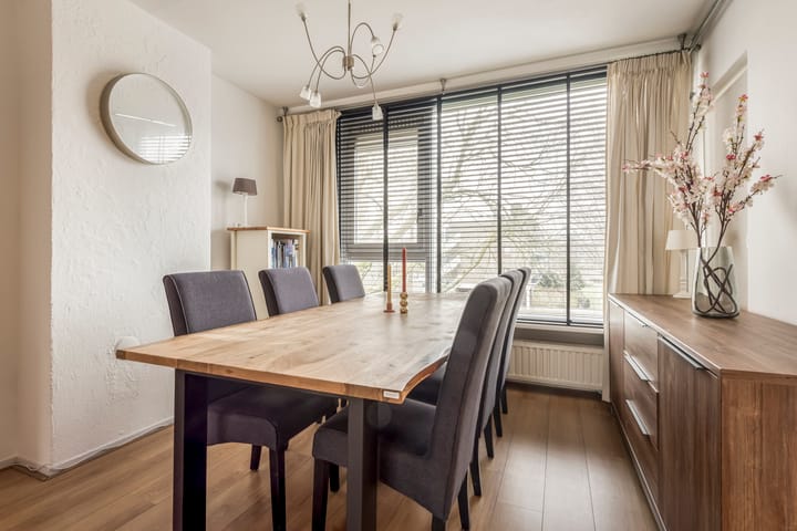 Foto 7 van Schierstins 133