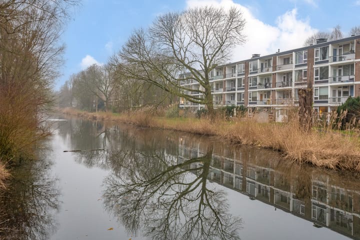 Foto 38 van Schierstins 133