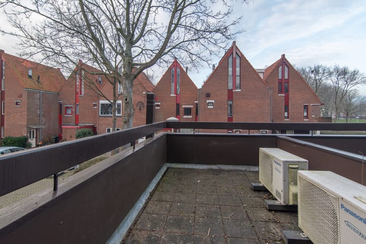 Foto 17 van Radijsakker 22