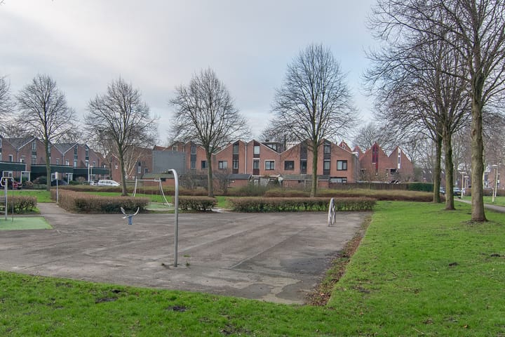 Foto 35 van Radijsakker 22