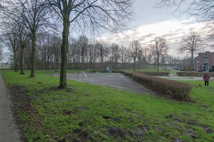 Foto 36 van Radijsakker 22