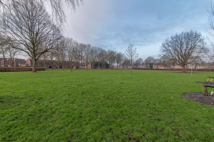 Foto 38 van Radijsakker 22