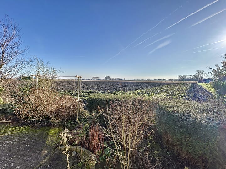 Photo 20 of Burgemeester J.C. Everaarslaan 27