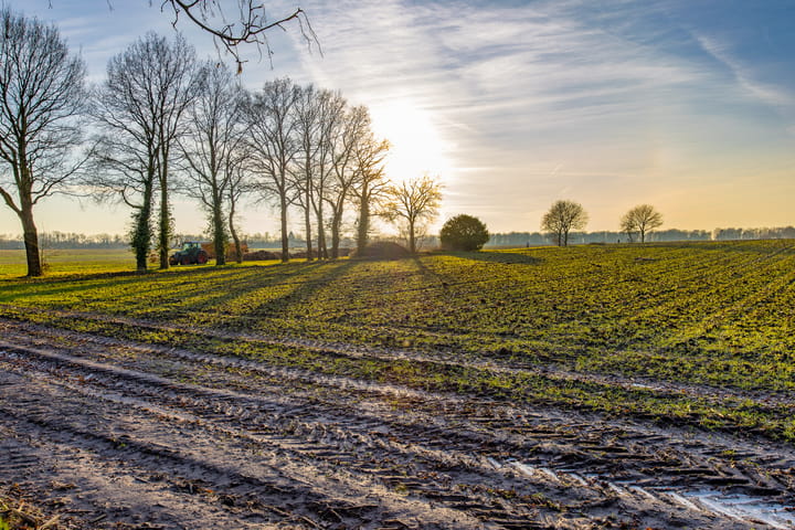 Foto 7 van Kostvlies 29