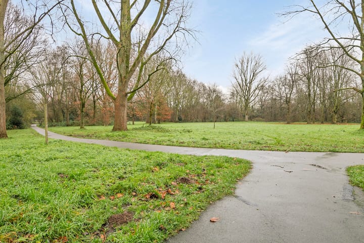 Foto 21 van Spreeuwenstraat 119