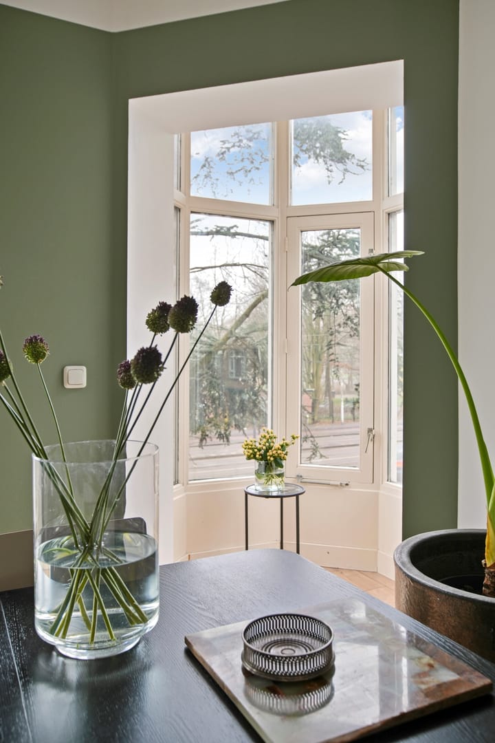 Foto 2 van Linnaeusstraat 63-1