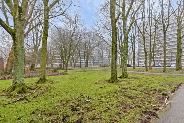 Photo 33 of Söderblomplaats 434