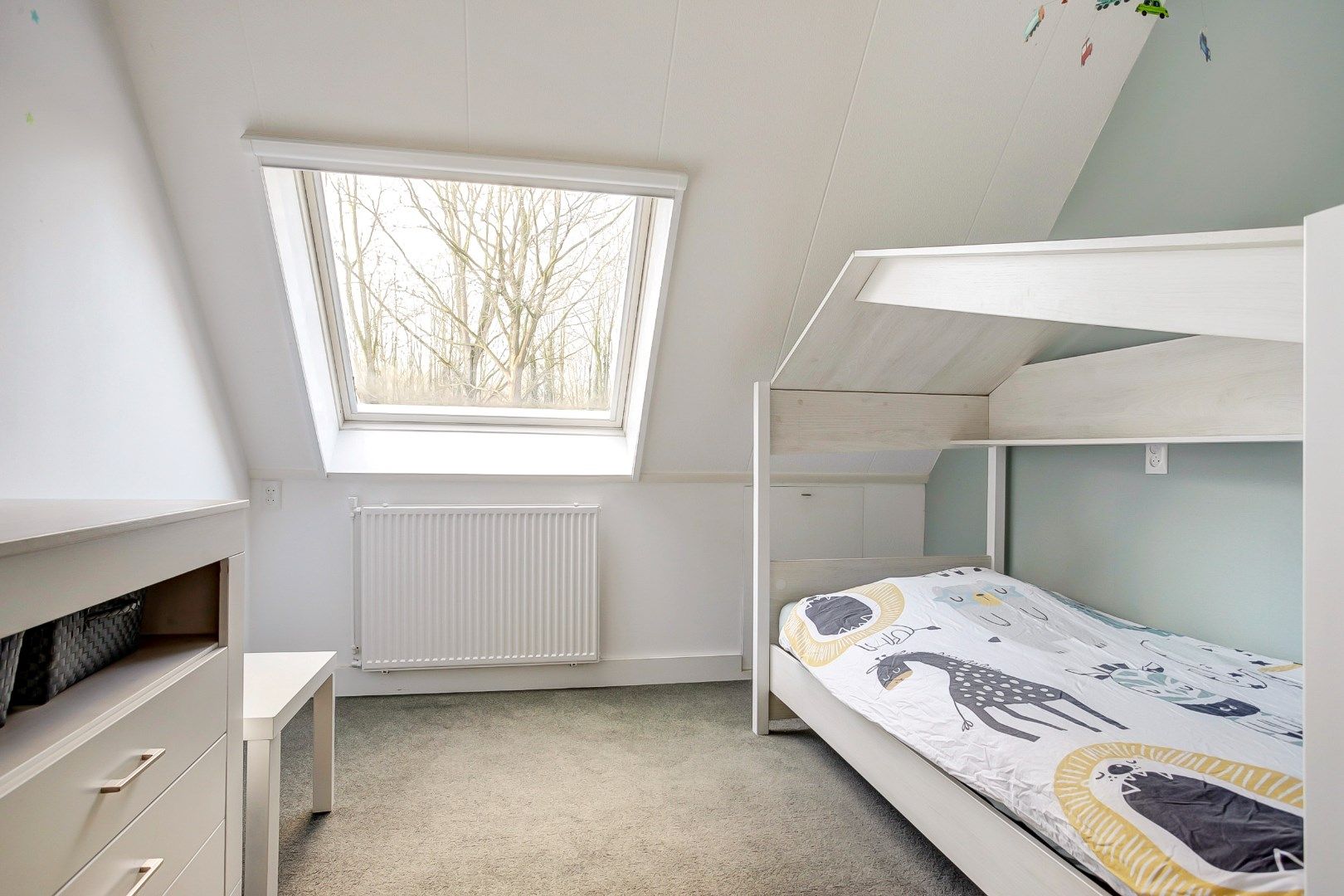 Foto 21 van Hanebalk 29