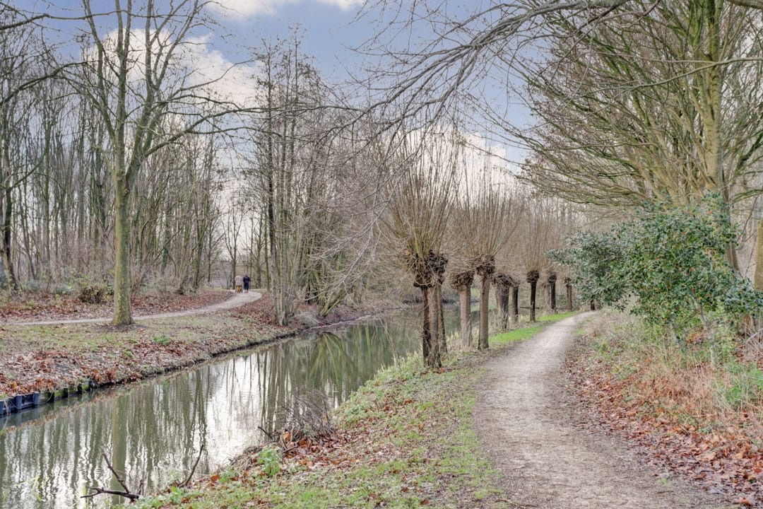 Foto 46 van Hanebalk 29