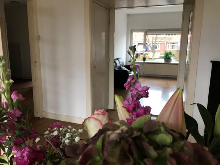 Photo 13 of Laan van Nieuw Oosteinde 342