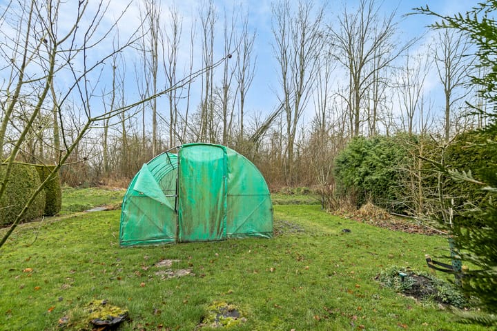 Photo 48 of Noorderstraat 28