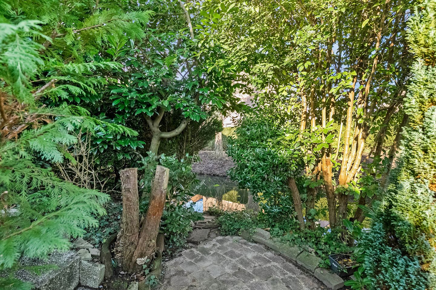 Foto 20 van Bekestein 22