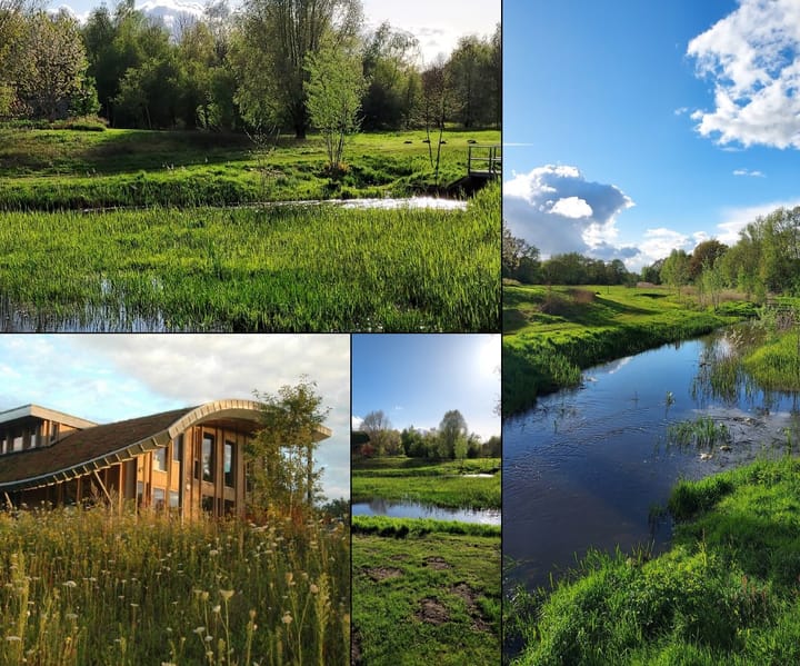 Foto 3 van Aelderstraat 1-D