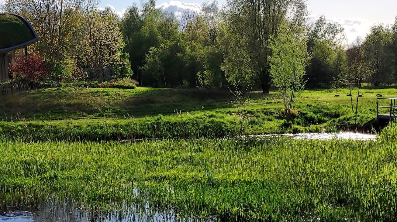 Photo 4 of Aelderstraat 1-D