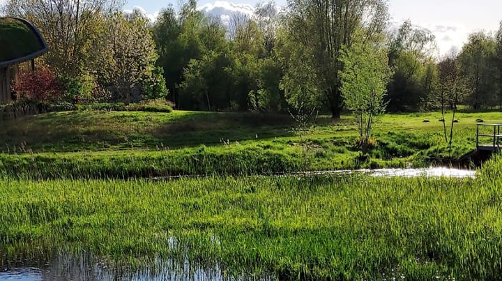 Foto 4 van Aelderstraat 1-D