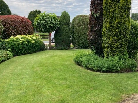 Foto 52 van Smidsstraat 9-A