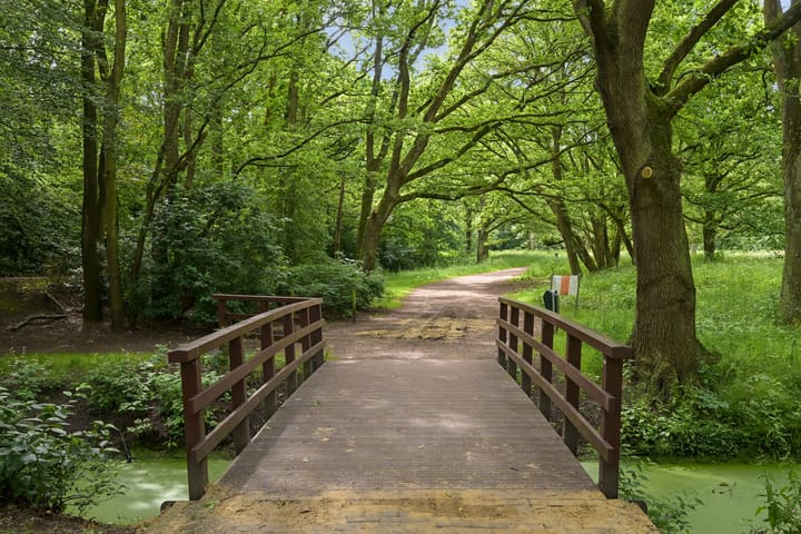 Foto 34 van Van Neckstraat 20