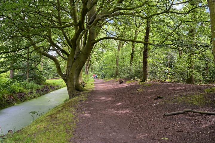 Foto 35 van Van Neckstraat 20