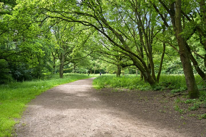 Foto 36 van Van Neckstraat 20