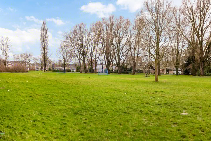 Foto 48 van Tylkedam 42