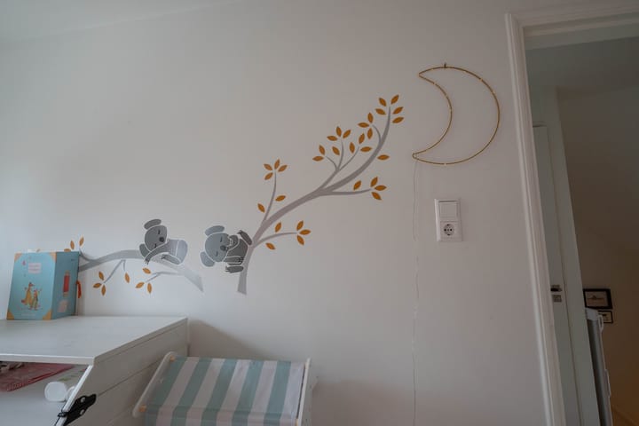 Foto 26 van Terheidenstraat 29