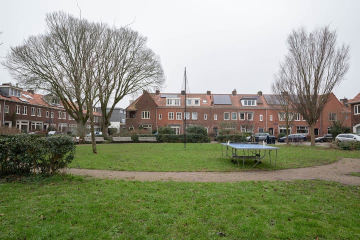 Foto 41 van Terheidenstraat 29