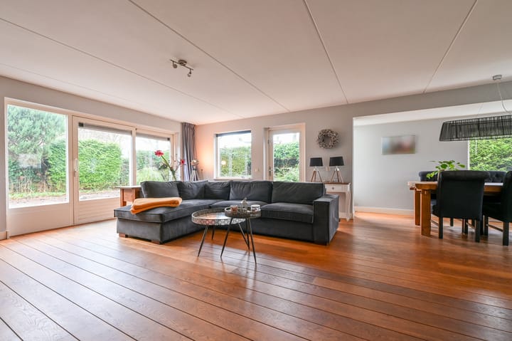 Foto 10 van Krachtenveld 2