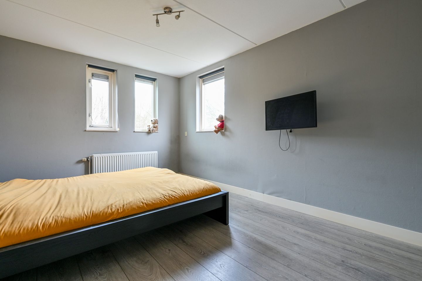 Foto 29 van Krachtenveld 2