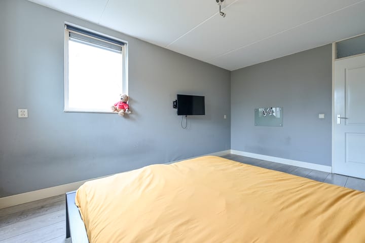 Foto 31 van Krachtenveld 2