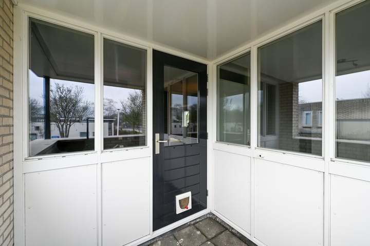 Foto 39 van Krachtenveld 2